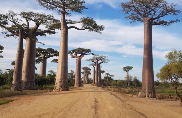 Rejse til Madagaskar