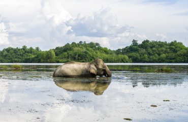 Humanitær rejse til Laos
