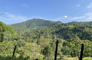 Sundhedspraktik i Colombia