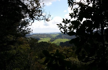 Rejs anderledes i New Zealand