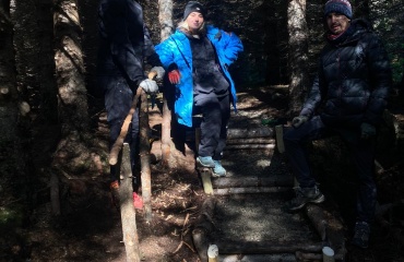 genplantningsprojekt i Island