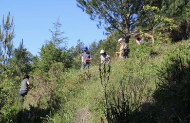 Sprogophold med fuld immersion i Portugal