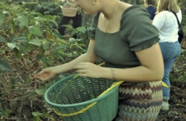 Frivillig deltager på en landbrugsgård i Guatemala