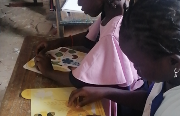 Deltagere på et humanitært forløb i Senegal