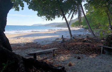 Afsides strand i Costa Rica med unik, lokal dyreliv