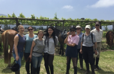 Oplev fuld immersion i Sydafrika med heste
