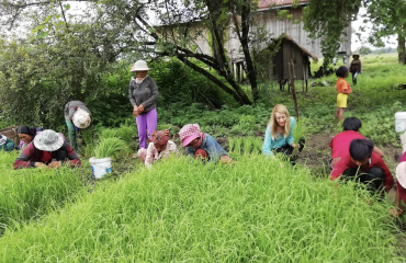 Humanitær organisation i Asien