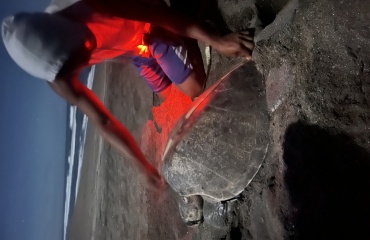 Praktikant på ophold i Nicaragua