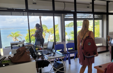 Studieophold i udlandet