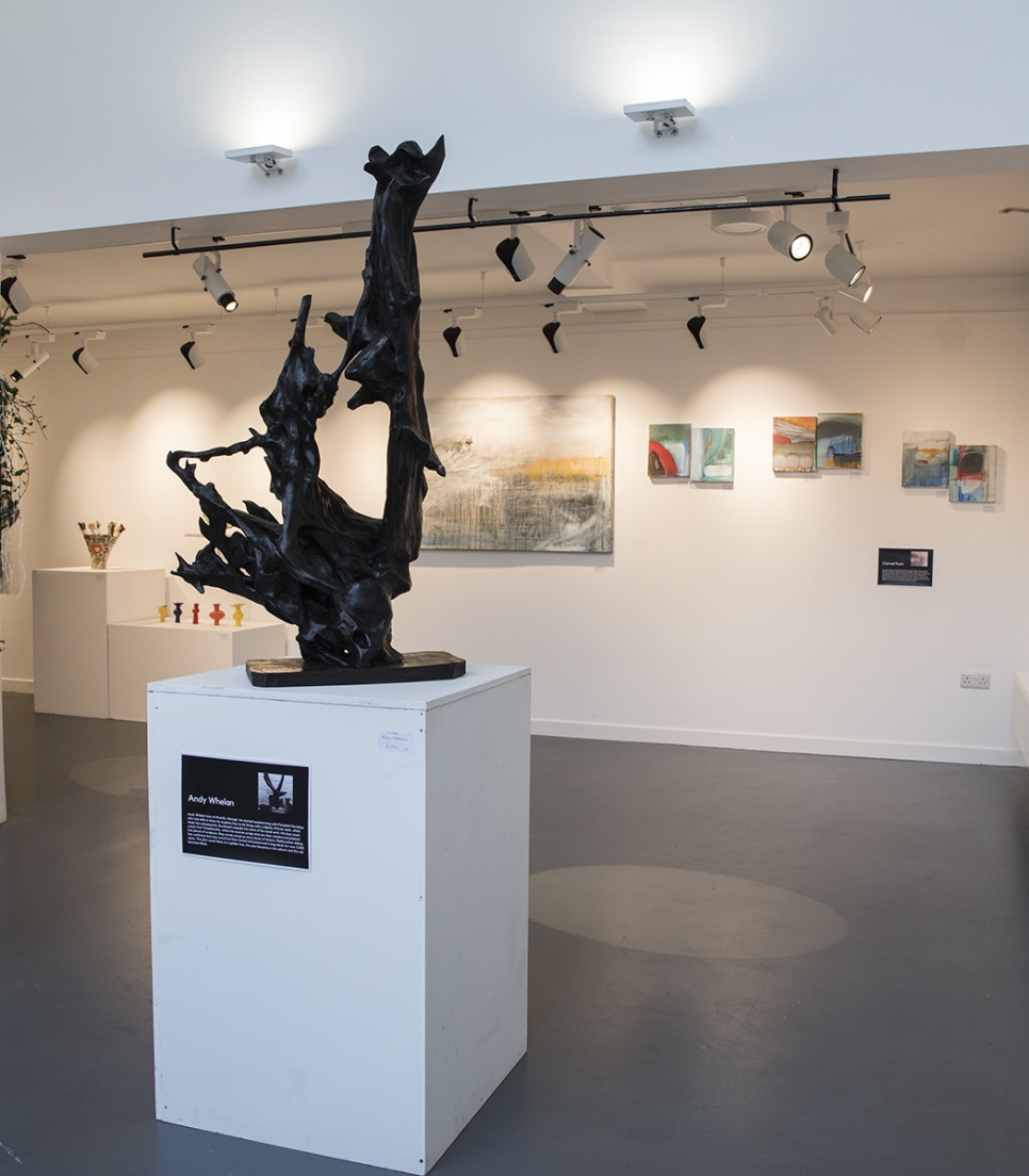 Frivilligt arbejde med kunst i Irland