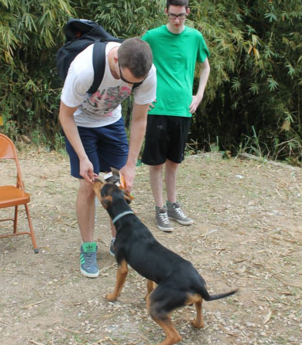 veterinærpraktik for studerende
