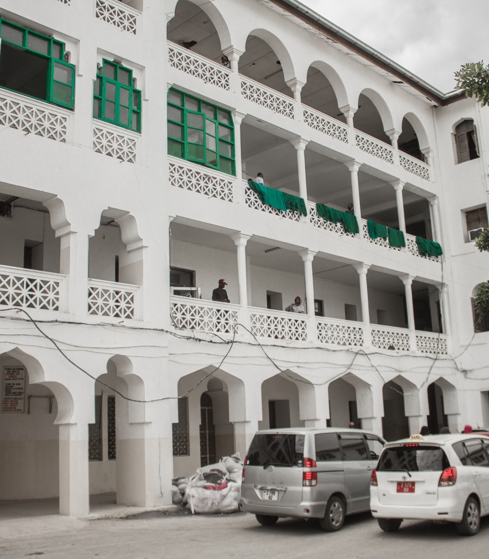 Internationalt frivilligt arbejde på Zanzibar