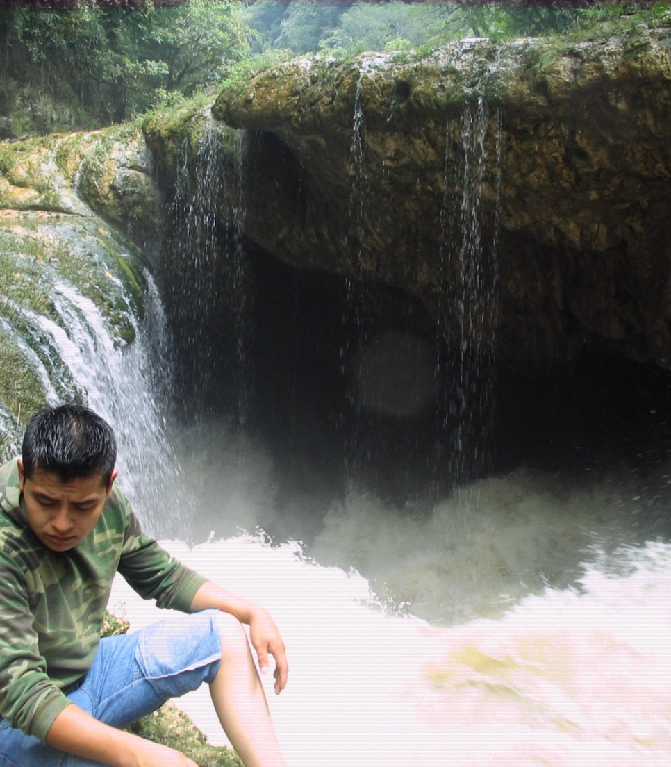 Bevar Guatemalas rige dyre- og planteliv