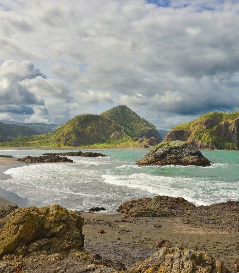 Frivilligt miljøarbejde i New Zealand