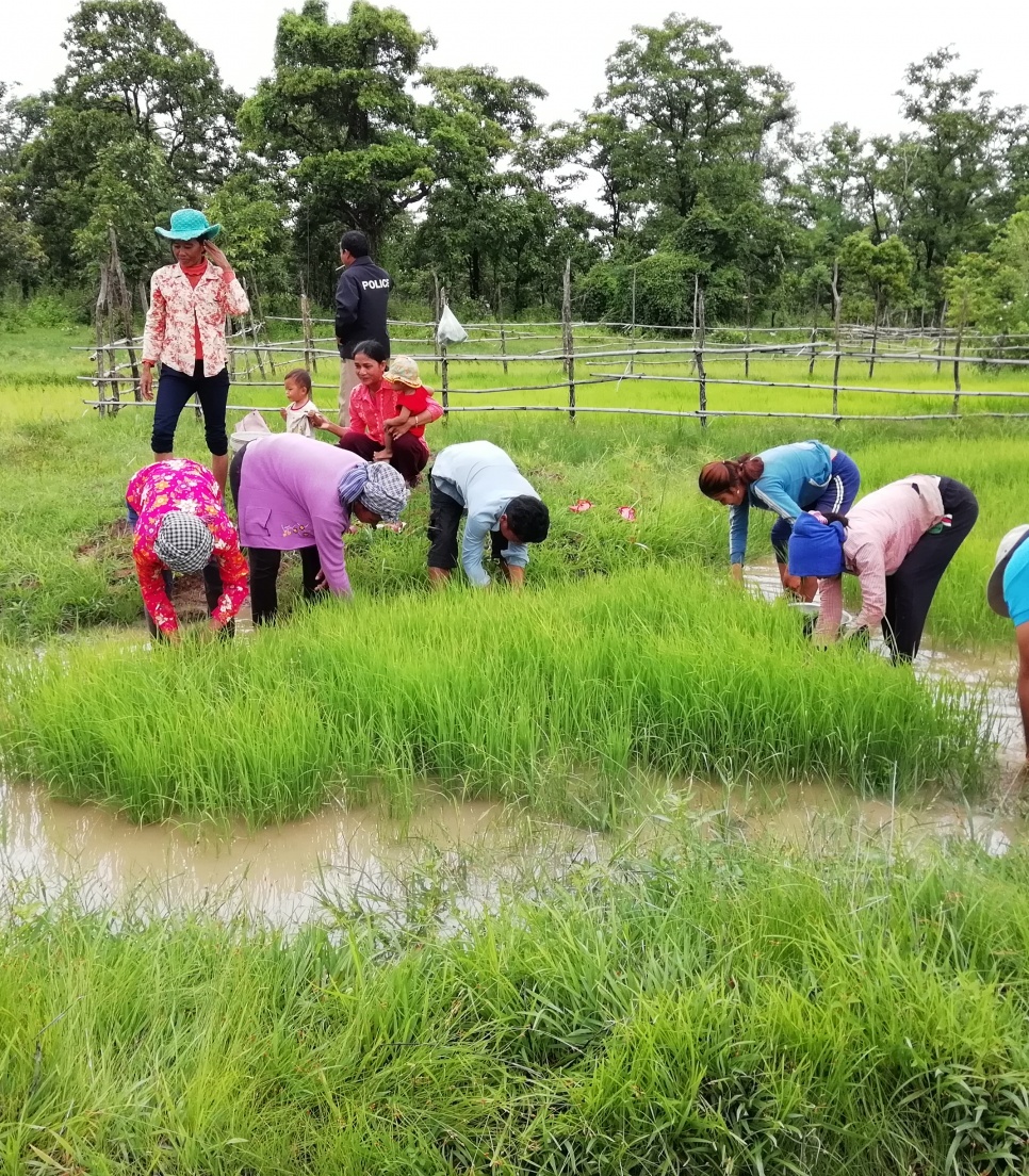 humanitært ophold i Cambodja