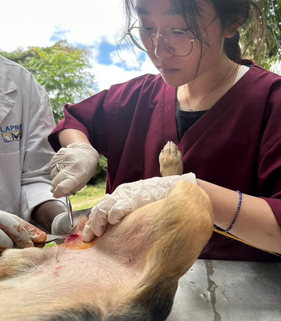 Ung dyrlæge under uddannelse i Tanzania