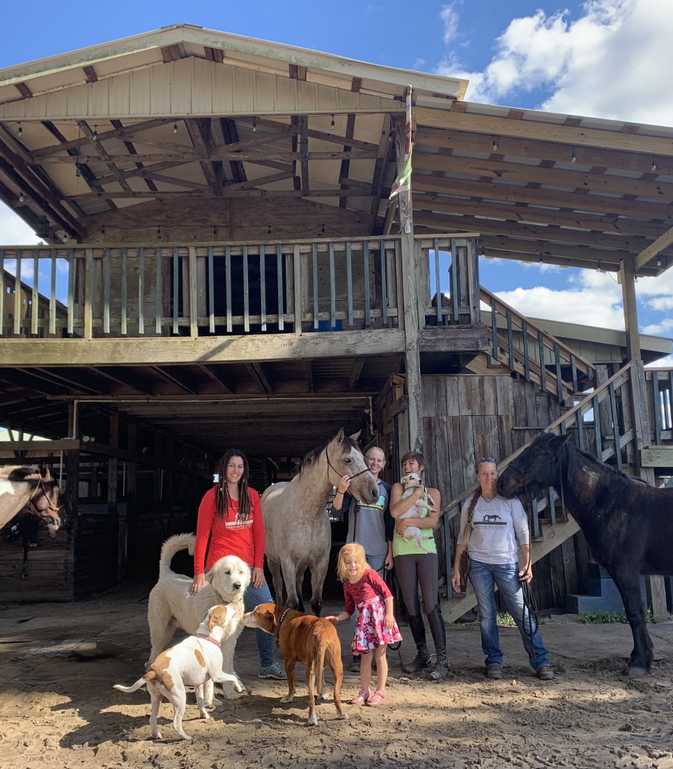 Praktikophold for veterinærstuderende i Florida
